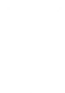 Logo Hungry Fox Head